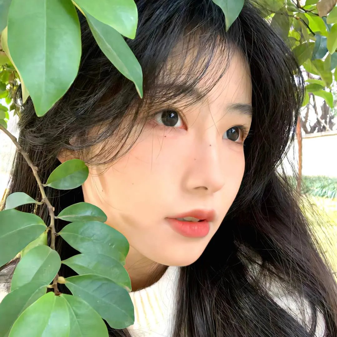 碧比和缇那